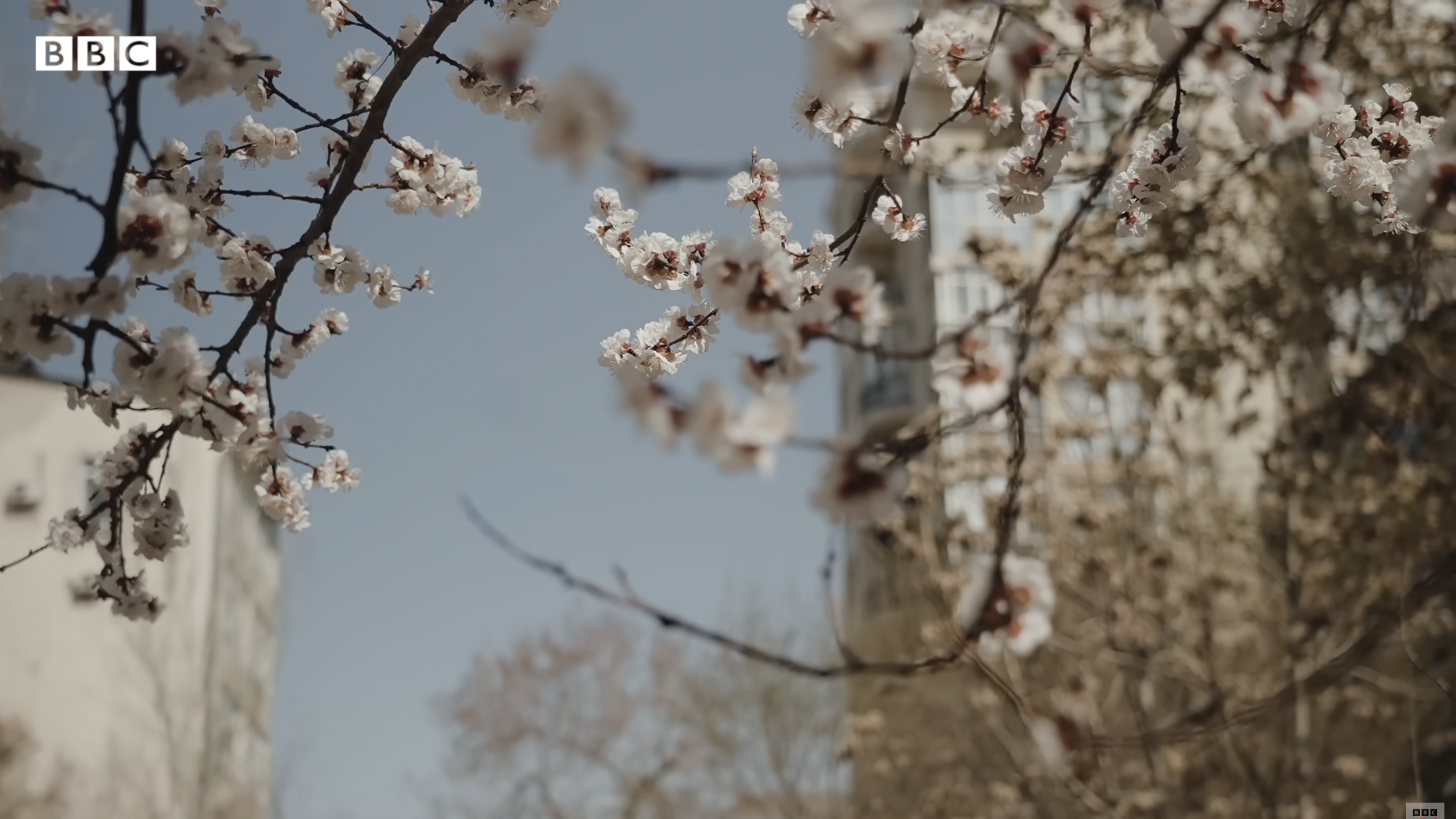 Two meters of soil Still 2